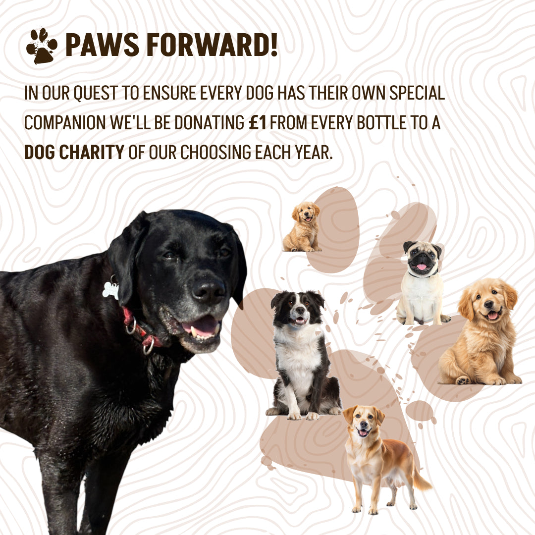 Coffee Spiced Caramel Latte Rum 70cl