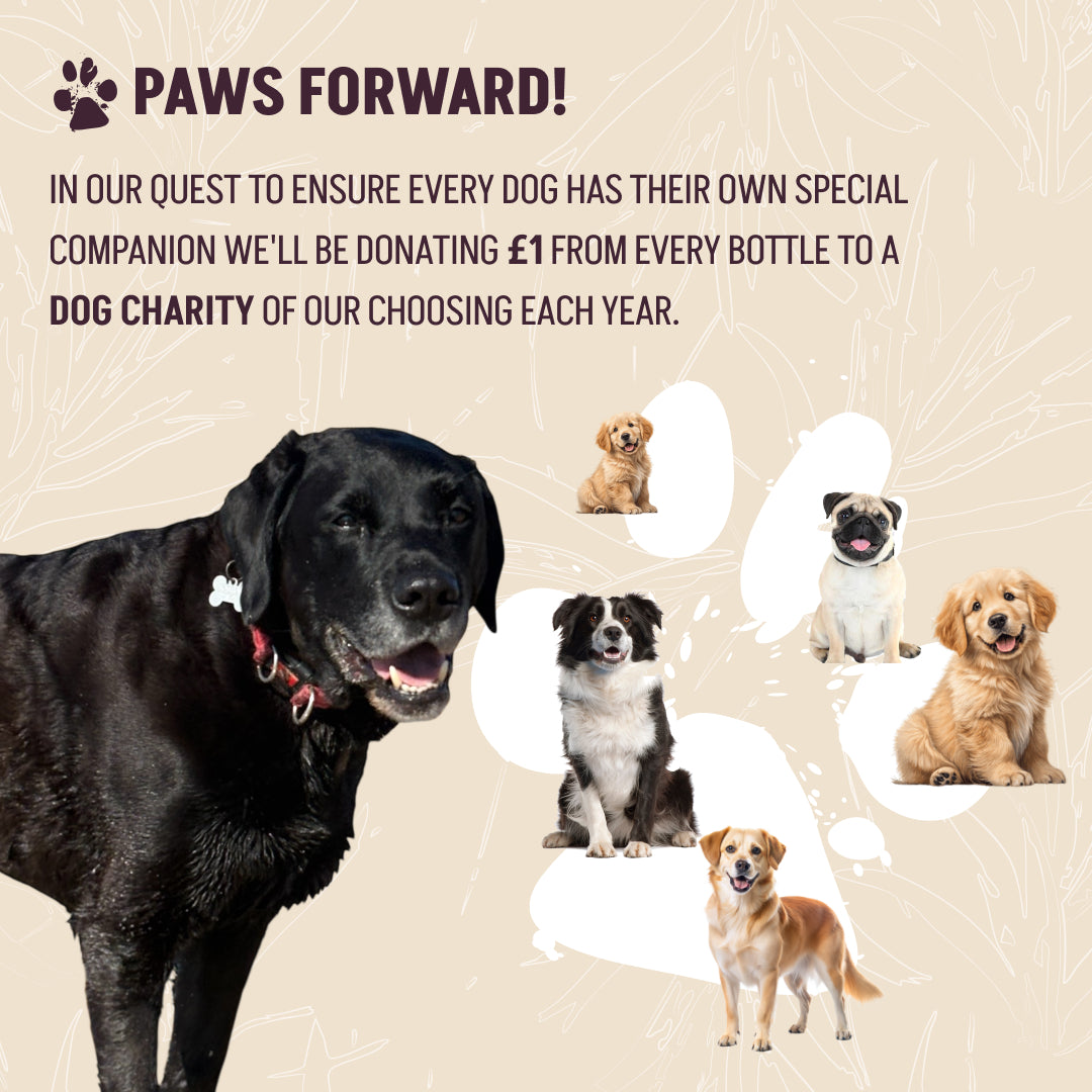 Black Spiced Vanilla N' Raisin Rum 70cl