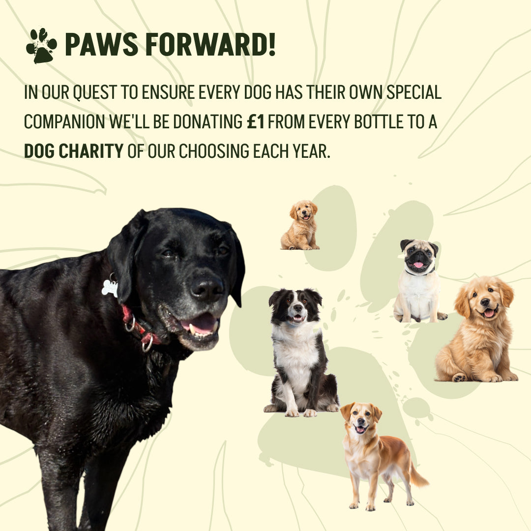 Golden Spiced Citrus N' Basil Rum 70cl